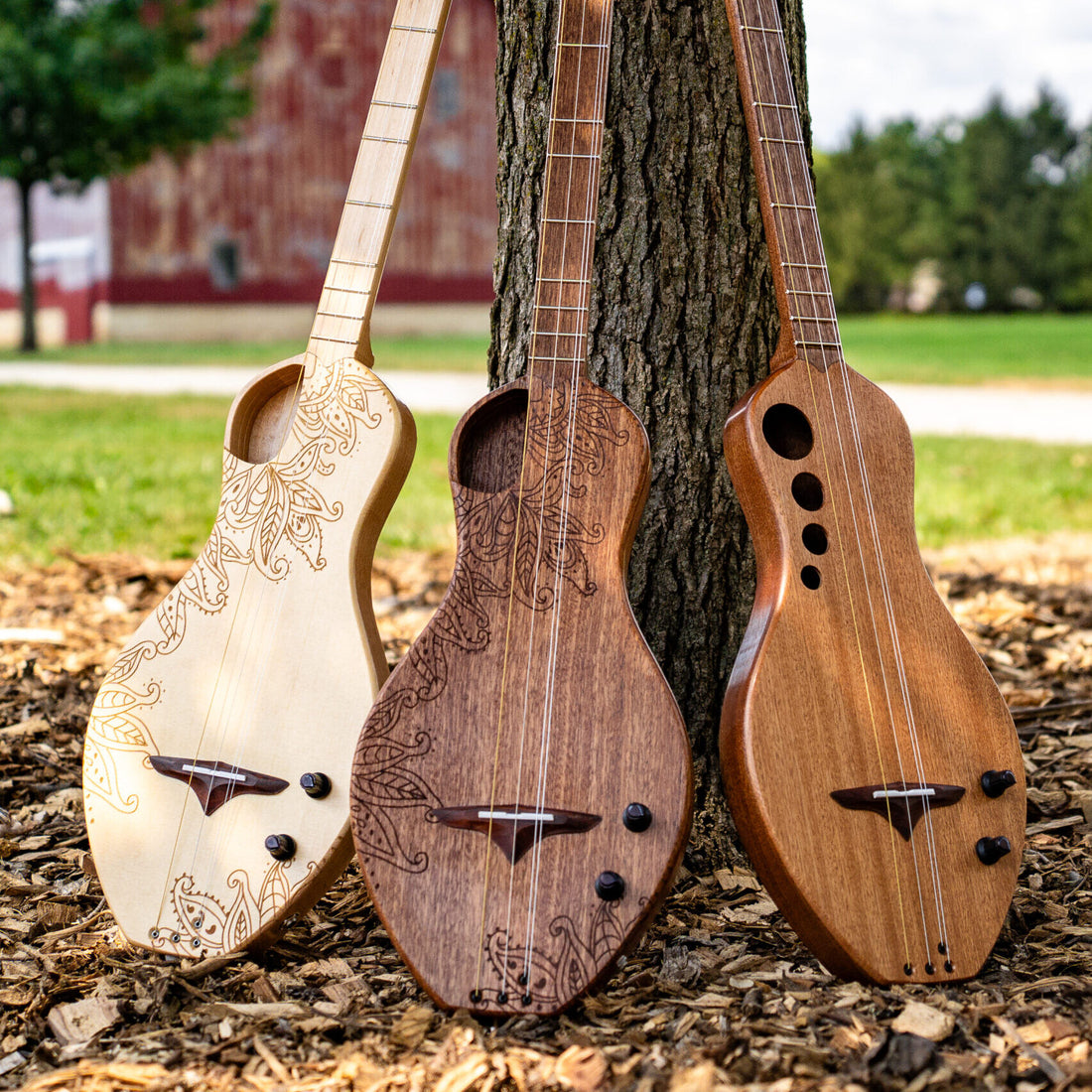 Discover the Dulcimer Guitar