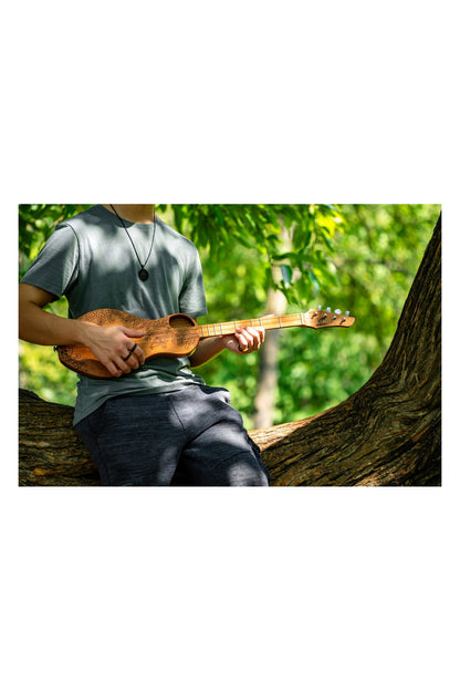 the Boondocker D2 Sapele Dulcimer Guitar Electric/Acoustic 4-String w/Henna Top (MADE IN USA)