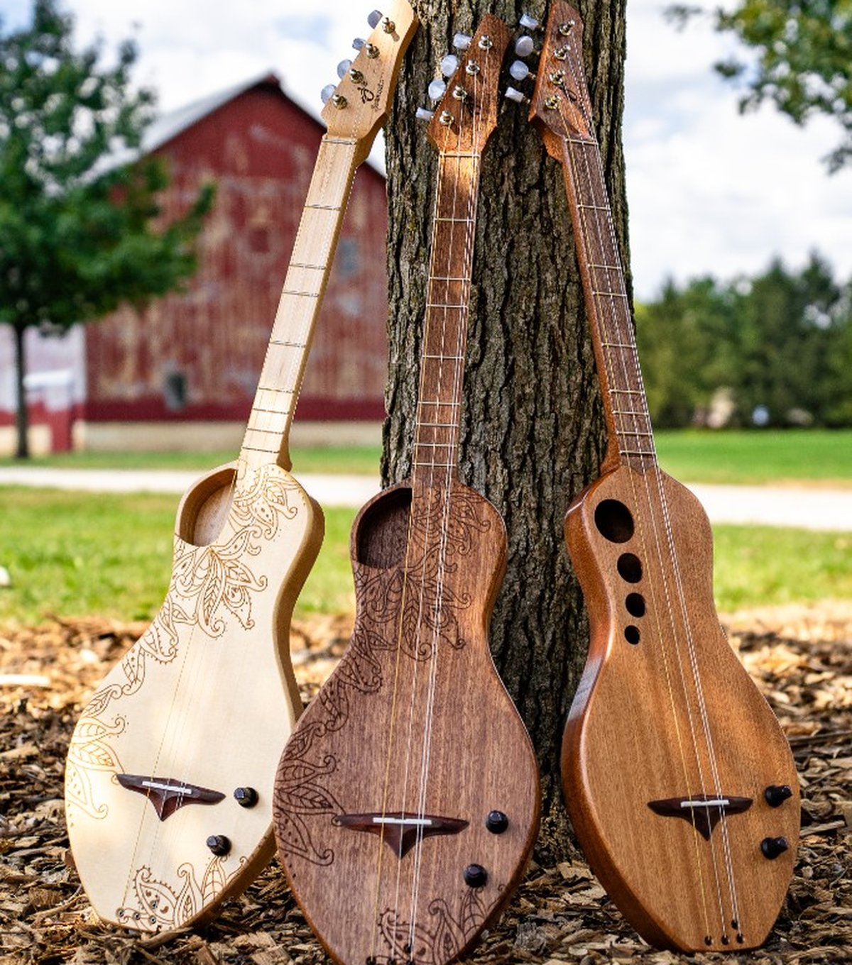 Dulcimer Guitars