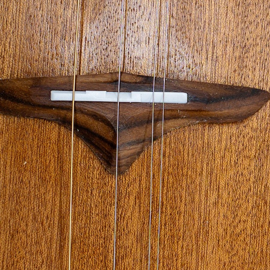 Close-up of the Trailhead rosewood bridge and saddle, with four strings in three courses